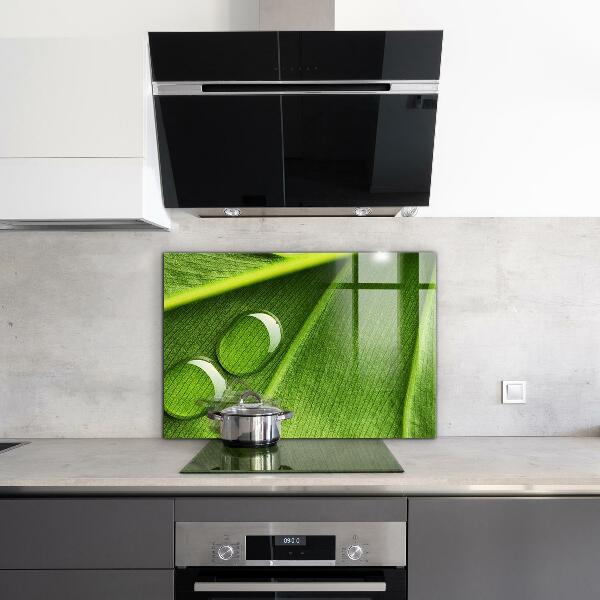 Sticlă bucătărie Picătură de rouă pe o frunză