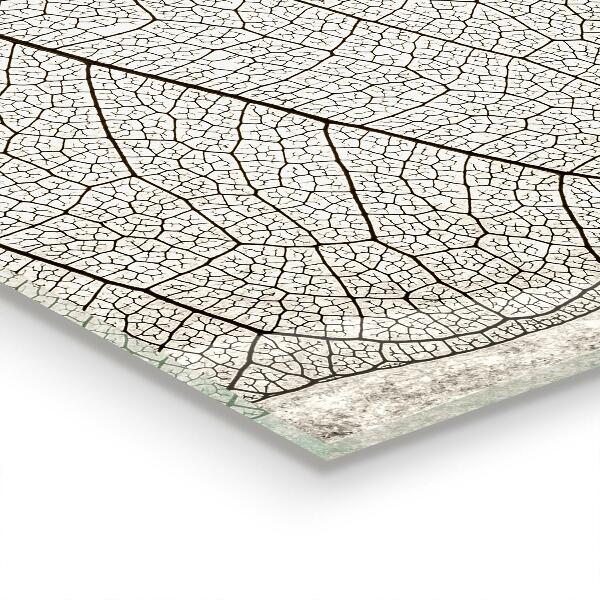 Sticlă printata bucătărie Textura frunzei sepia