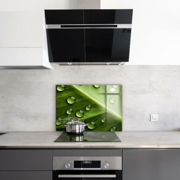 Sticlă printata bucătărie Frunză cu picături de rouă a dimineții