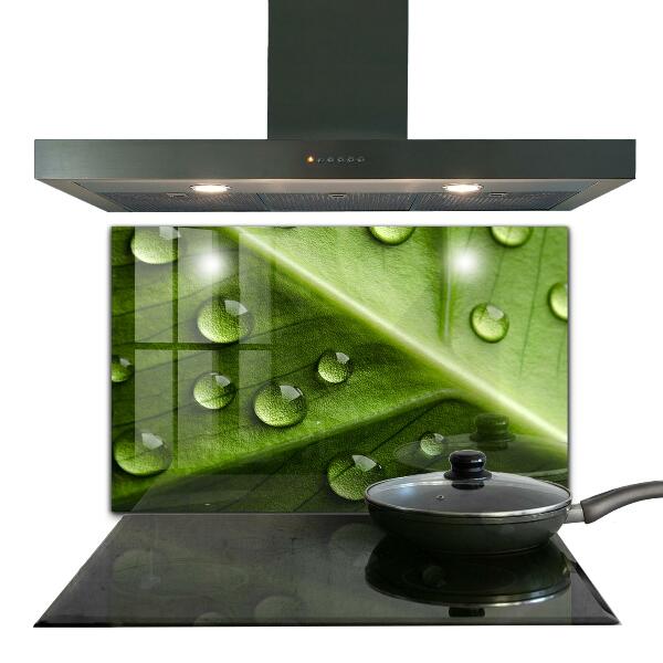 Sticlă printata bucătărie Frunză cu picături de rouă a dimineții