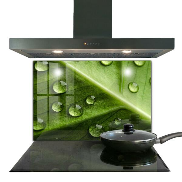 Sticlă printata bucătărie Frunză cu picături de rouă a dimineții