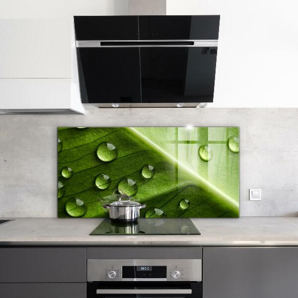 Sticlă printata bucătărie Frunză cu picături de rouă a dimineții