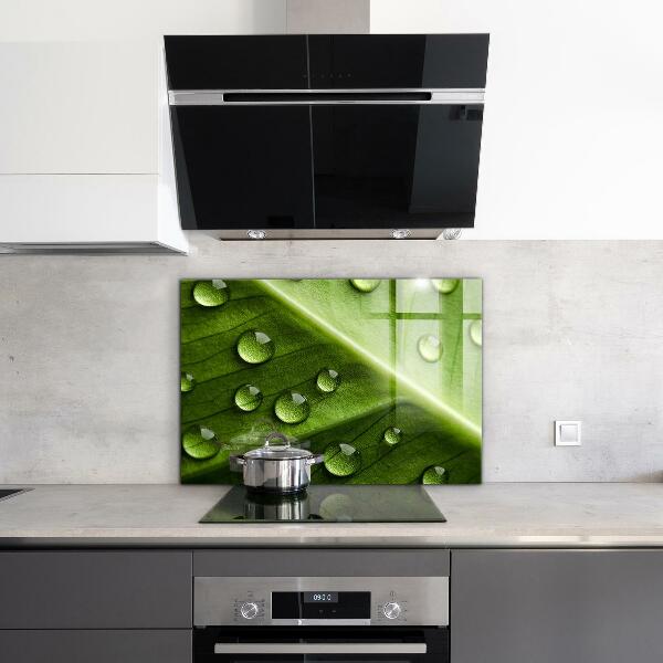 Sticlă printata bucătărie Frunză cu picături de rouă a dimineții