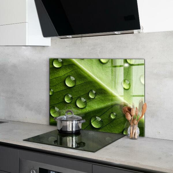 Sticlă printata bucătărie Frunză cu picături de rouă a dimineții