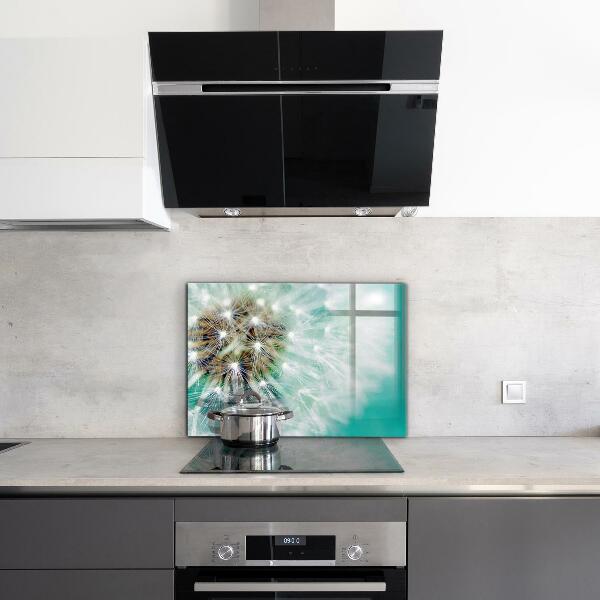 Sticlă printata bucătărie Papadie în planta de vânt