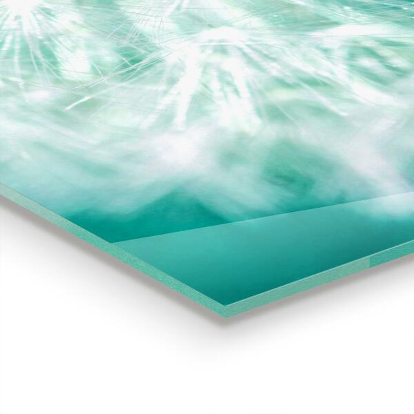 Sticlă printata bucătărie Papadie în planta de vânt