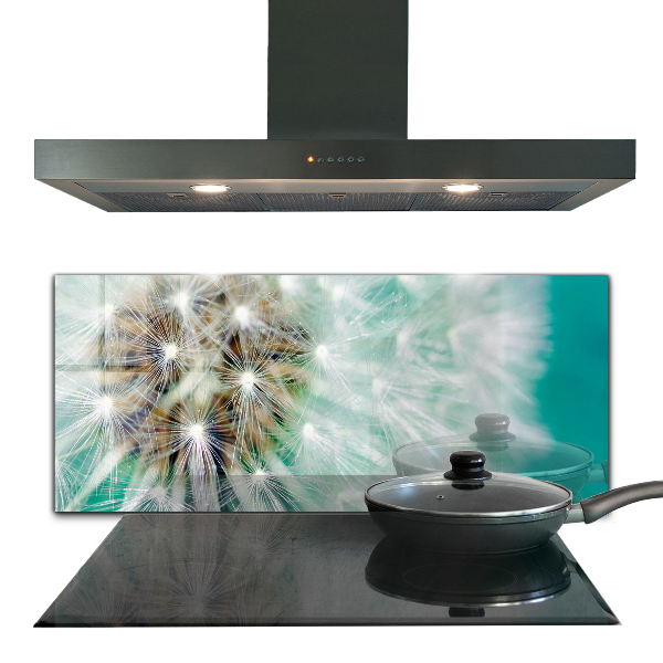 Sticlă printata bucătărie Papadie în planta de vânt