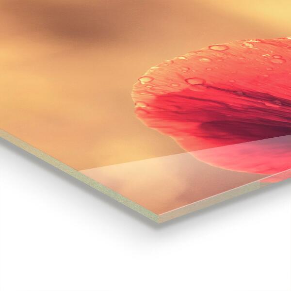 Sticlă printata bucătărie Planta de mac de epocă