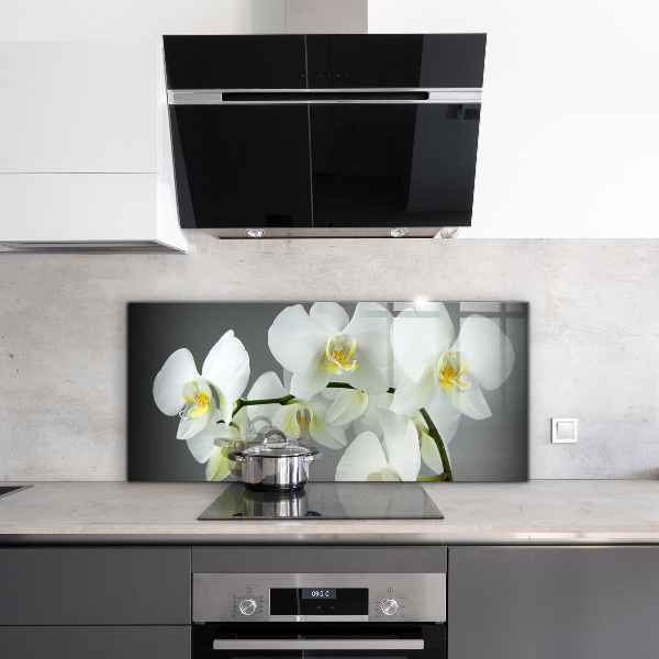 Sticlă printata bucătărie Orhidee albă pe fundal negru