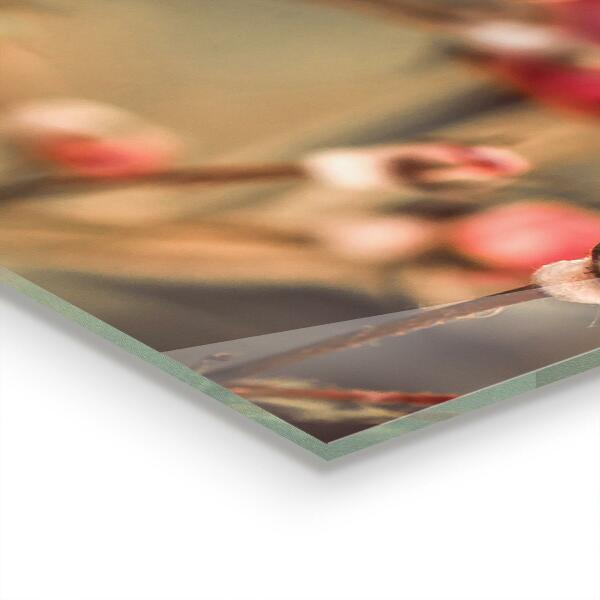 Sticlă printata bucătărie Trandafir sălbatic în parc