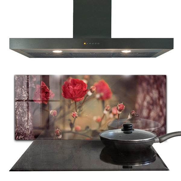 Sticlă printata bucătărie Trandafir sălbatic în parc