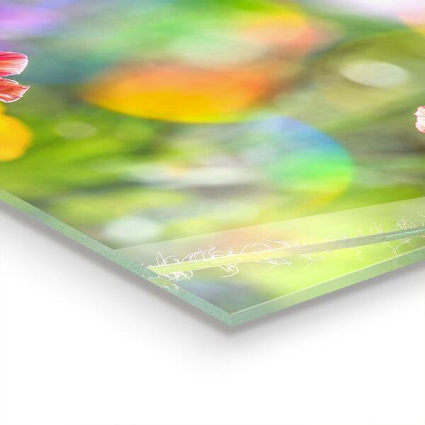 Sticlă bucătărie Lunca de vară de maci