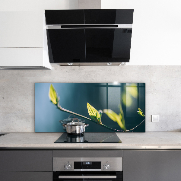 Sticlă bucătărie Frunză strălucitoare pe ramură