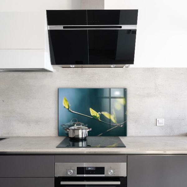 Sticlă bucătărie Frunză strălucitoare pe ramură