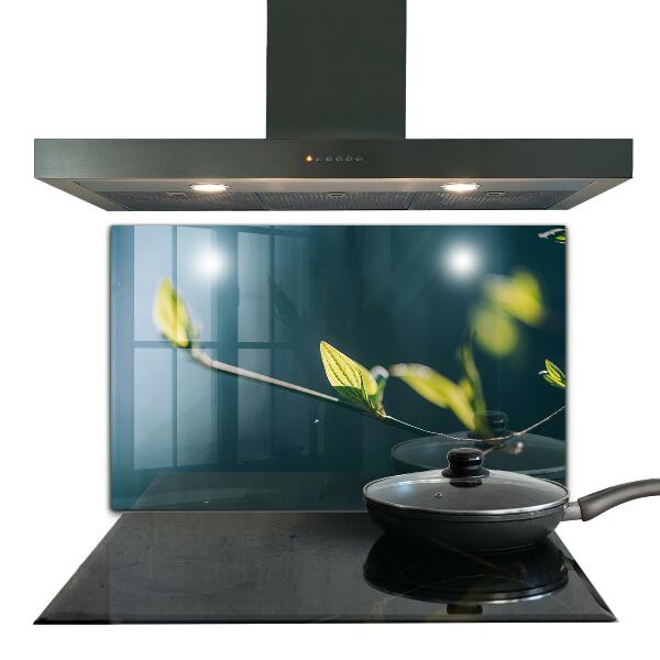 Sticlă bucătărie Frunză strălucitoare pe ramură