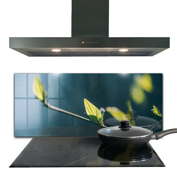 Sticlă bucătărie Frunză strălucitoare pe ramură