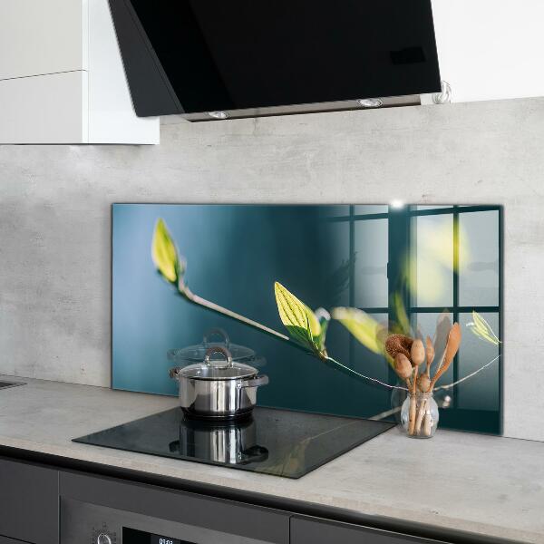 Sticlă bucătărie Frunză strălucitoare pe ramură