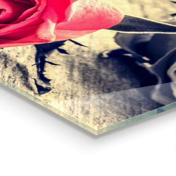 Sticlă bucătărie Trandafir simbol al iubirii