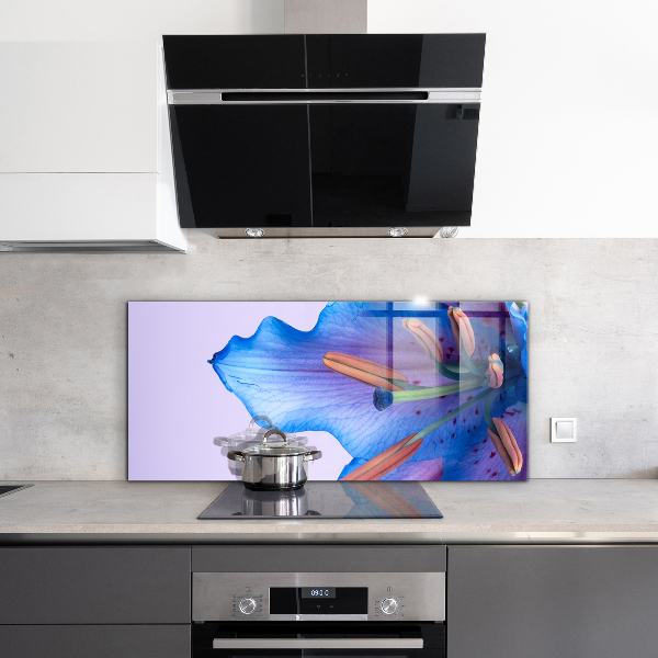 Sticlă bucătărie Frumos crin albastru