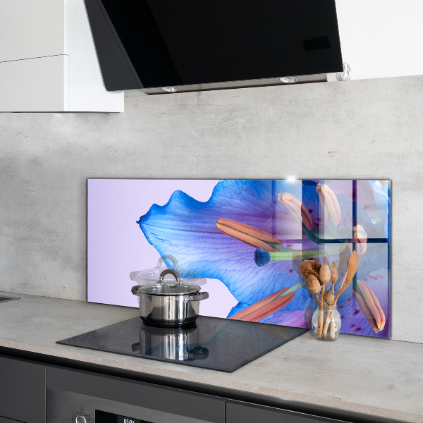 Sticlă bucătărie Frumos crin albastru