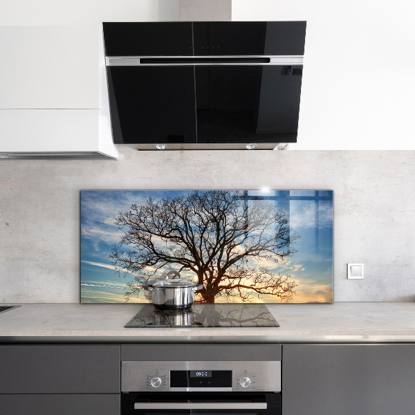 Sticlă bucătărie Peisaj lunca dimineața