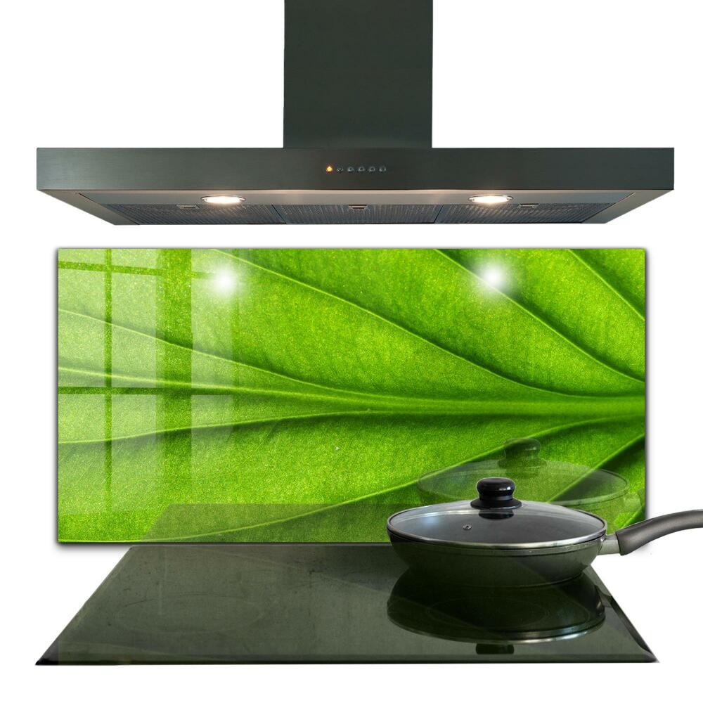 Sticlă bucătărie Detalii green leaf