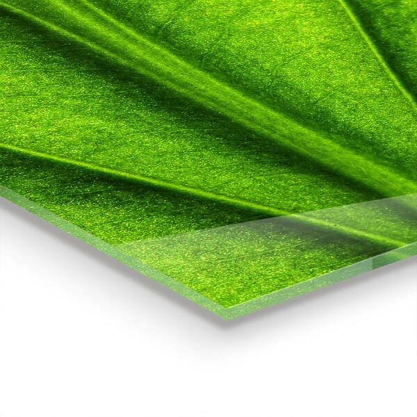 Sticlă bucătărie Detalii green leaf