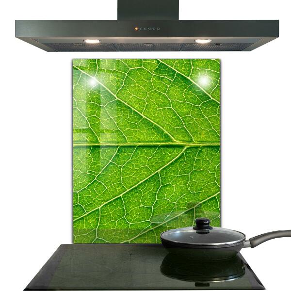 Sticlă bucătărie Detalii delicate ale frunzei