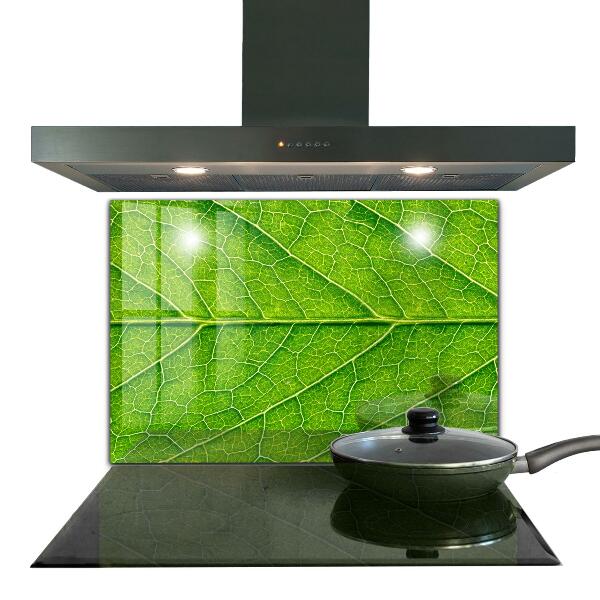 Sticlă bucătărie Detalii delicate ale frunzei