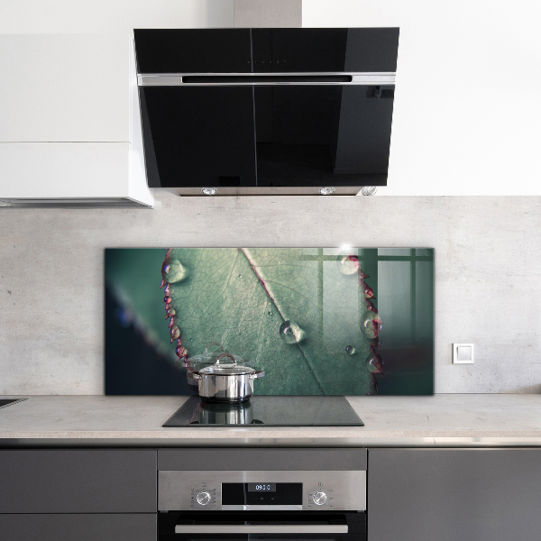 Sticlă bucătărie Frunză cu picătură de rouă