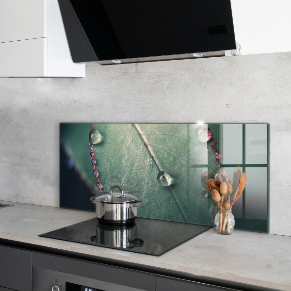 Sticlă bucătărie Frunză cu picătură de rouă