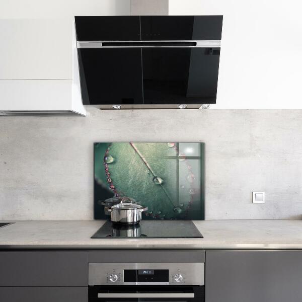 Sticlă bucătărie Frunză cu picătură de rouă