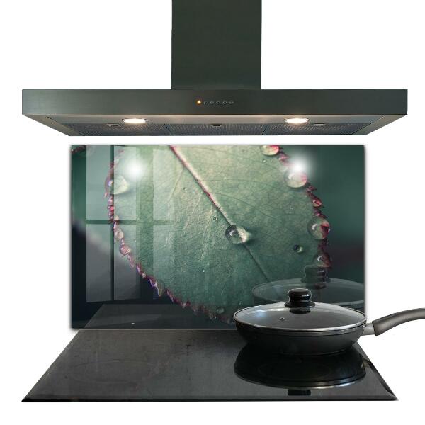 Sticlă bucătărie Frunză cu picătură de rouă