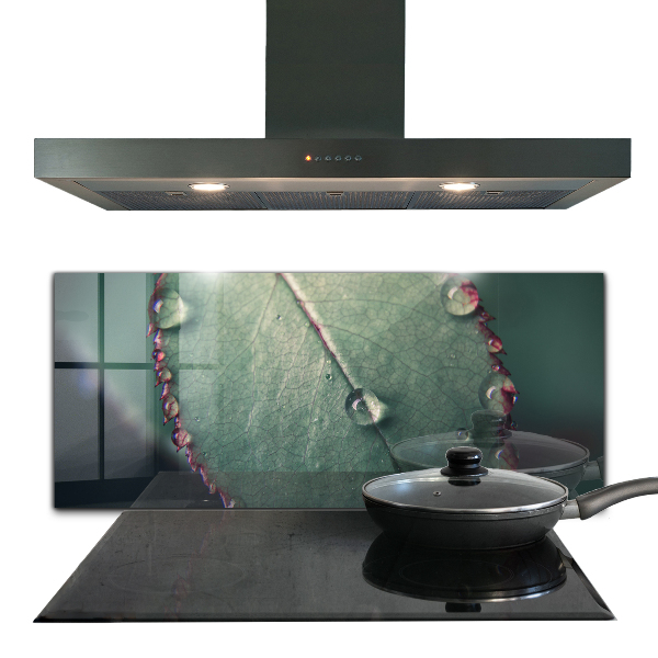 Sticlă bucătărie Frunză cu picătură de rouă