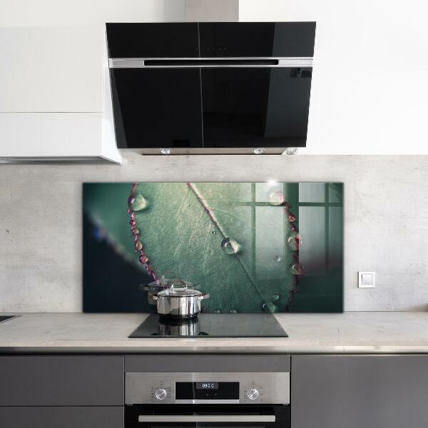 Sticlă bucătărie Frunză cu picătură de rouă