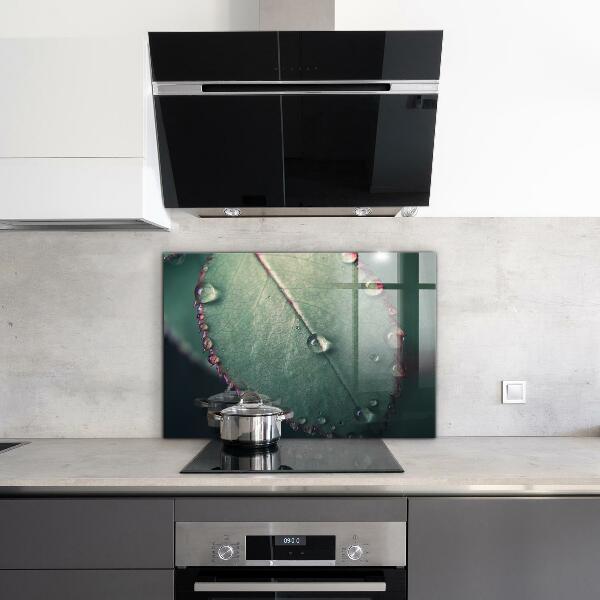 Sticlă bucătărie Frunză cu picătură de rouă