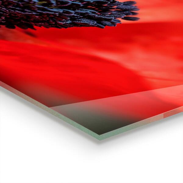 Sticlă bucătărie Detalii de mac roșu