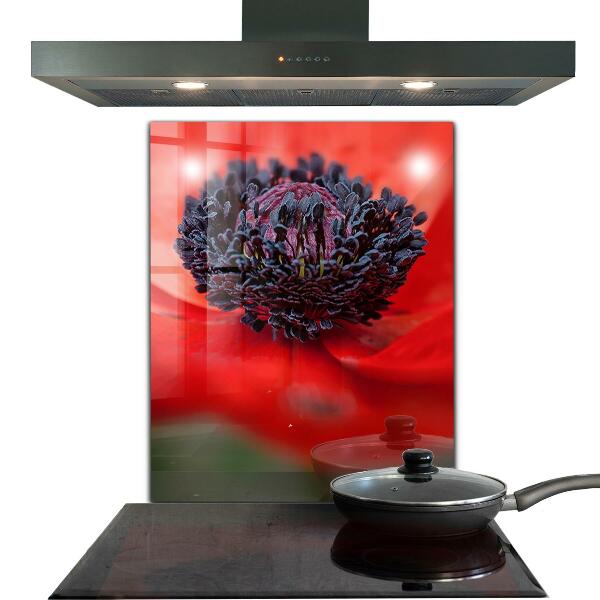 Sticlă bucătărie Detalii de mac roșu