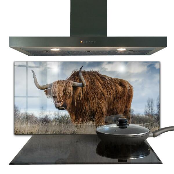 Sticlă bucătărie Vaca highland boho