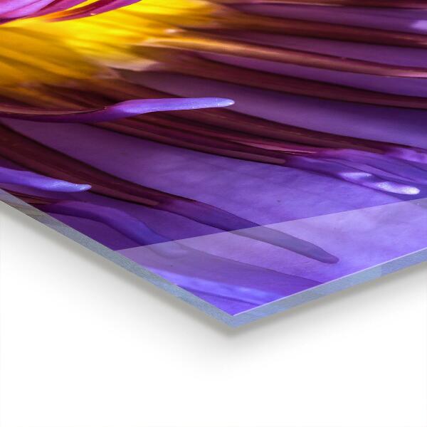 Sticlă bucătărie Detalii flori violete