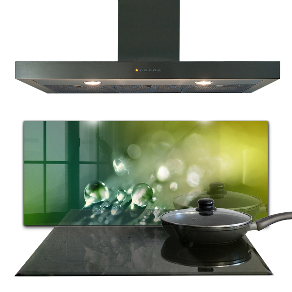 Sticlă bucătărie Roua pe frunze verzi