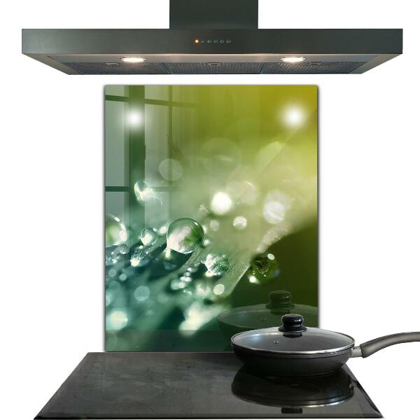 Sticlă bucătărie Roua pe frunze verzi