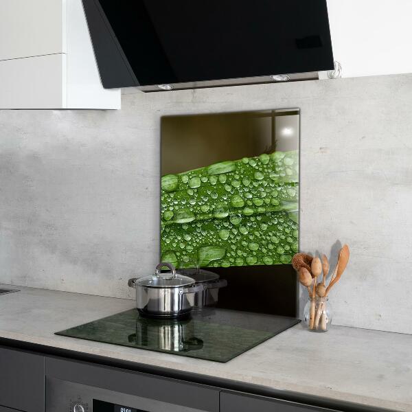 Sticlă bucătărie Frunză verde după ploaie