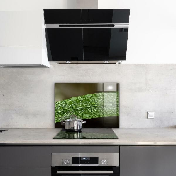 Sticlă bucătărie Frunză verde după ploaie