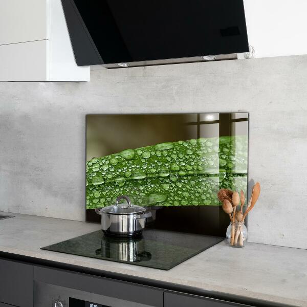 Sticlă bucătărie Frunză verde după ploaie