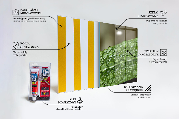 Sticlă bucătărie Frunză verde după ploaie