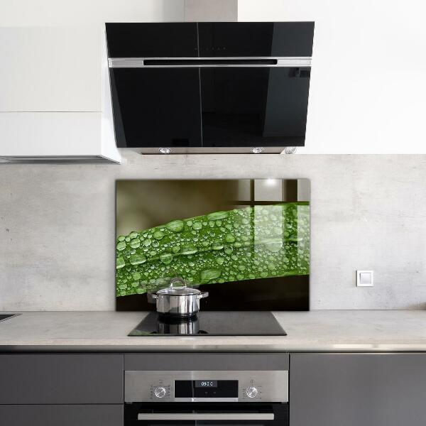 Sticlă bucătărie Frunză verde după ploaie