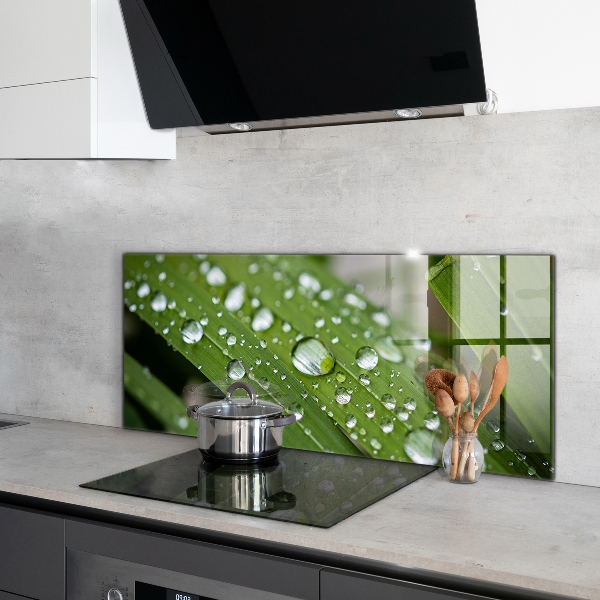 Sticlă bucătărie Picături de rouă pe iarbă