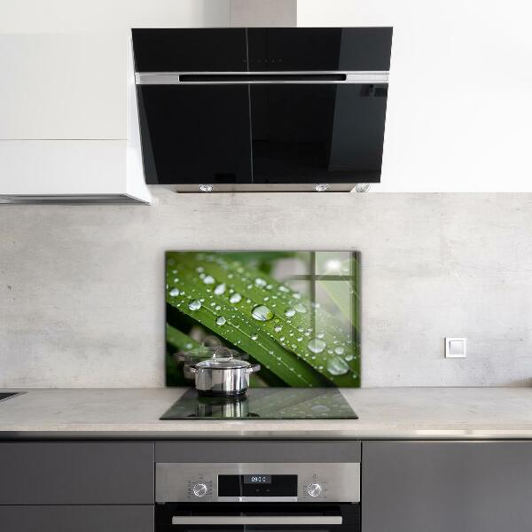 Sticlă bucătărie Picături de rouă pe iarbă