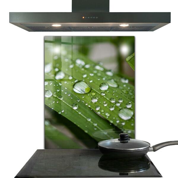 Sticlă bucătărie Picături de rouă pe iarbă